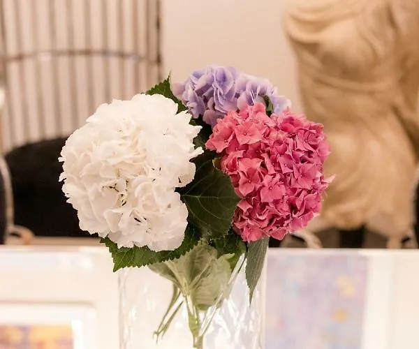 Апартаменты Ab - The *