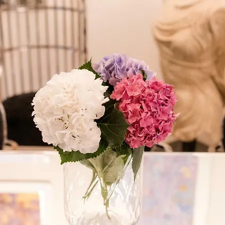 아파트 Ab - The *